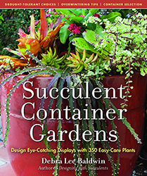 succulent-container-gardens-h250px